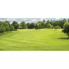 1 qt Liquid Blue Pond Dye | SSCTURFMARKBQT