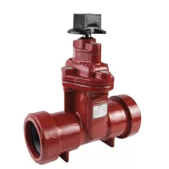 2-1/2" Ductile Iron 250 psi 804 Series Gate Valve | SOVGV025RT