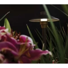 Weathered Bronze Solid Brass Centaurus 8 Odyssey Series Area Light | UNIC8NL