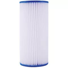 50 Micron 25 gpm White PWPL Series Sediment Filter | WAP7100418