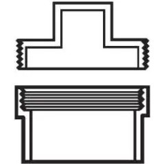 PVC Cleanout Adapter 3 in. Slip x FIP with Plug | D112030