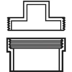 PVC Cleanout Adapter 6 in. Slip x FIP with Plug | D112060