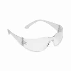 Safety Glasses, Clear Lens Economy