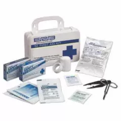 First Aid Kit, 4.5" x 7.5" x 2.75" 10-People with Plastic Box ANSI Premium