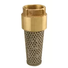 Boshart Industries Foot Valve 2" Nominal, FNPT End Style | 17YBFV200NL