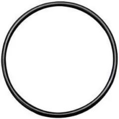 2" For LGV-200 Valves Valve Cover O-Ring | LEMLVO200