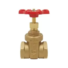 1-1/2" FNPT Brass 200 psi 206F Series Gate Valve | RWVGV015F