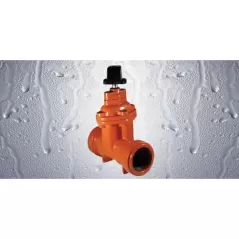 10" Push-On Ductile Iron 250 psi 115PO Series Gate Valve | FMT8566RT