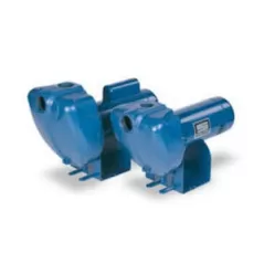 2-1/2 hp 115/230 V Medium Head DS3 Centrifugal Pump | PENDS3HHG01