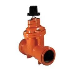 2" Push-On Ductile Iron 250 psi 115PO Series Resilient Wedge Gate Valve | FMT8560RT