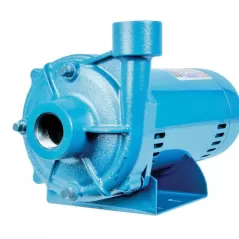 1 hp 115 to 230 V 48 psi 65 gpm LGDR1S1-CP Model Close Coupled Centrifugal Pump | FRJ558257