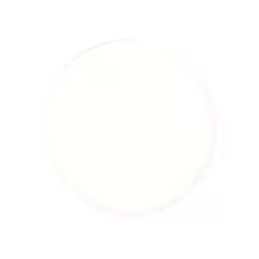 0.13" For MR-11 Lamps/MR/FR/MP Series Fixture Frosted Lens | FXL250010480000