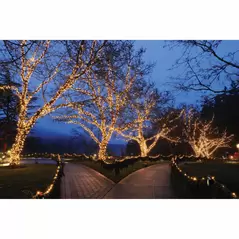 Twisted Wire For 12 VAC Fairy Light String Power Lead | LCFLEDMSLACPWR