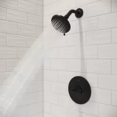 4-25/32" x 2-9/16" Brass Matte Black 1-Handle Shower Trim | PPFLG897WRB