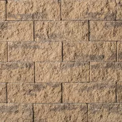 6" x 2-1/2" x 8" Rectangular Harvest Blend Coventry Edgestone | EPH28EDGESTONEHB