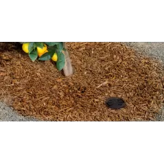 0.5 gpm Watering System | HTRRZWS18