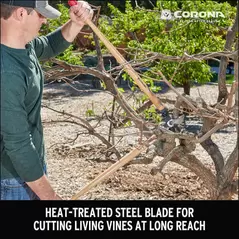 Classiccut Bypass Lopper, Heat-Treated Steel Alloy Blade Hardwood Handle | 38313000325