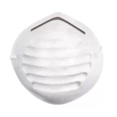 Dust Mask | 2985