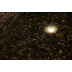 FX LP Vertical Underwater Light Brass Housing Natural Brass 9.1W 2700K LED | LPZDCVR30BS