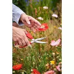 Floral Scissor, Stainless Steel Blade | FS 3394