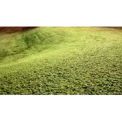HDS Original Mulch