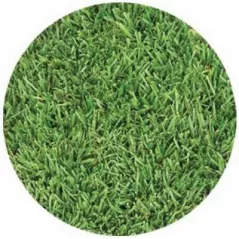 SOD 90/10 Tall Fescue | DB/TALL.FESCUE