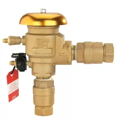 Febco Pressure Vacuum Breaker, 1" FNPT | T765EBV