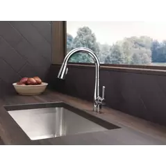 Essa Pull-Down Kitchen Faucet, Single Handle CP | 9113-DST
