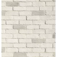 Eldorado Tundrabrick Chalk Dust Flats Flats Hp 6 Sf
