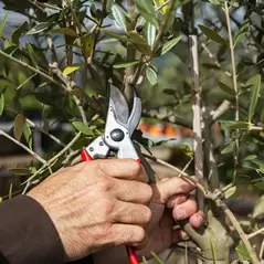 Felco Bypass Young Branch Hand Pruner | FELCO 11