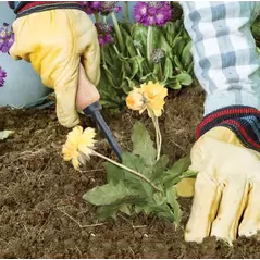Tempered Steel Hand Weeder | 2447000