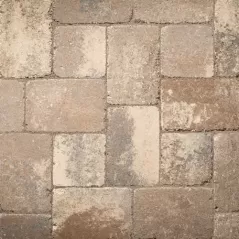 Belgard Dublin Paver, 60mm, 6" x 9", Savannah