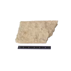 WHITE LIMESTONE - THIN VENEER - FLATS - 4", 6", 8" HEIGHTS -