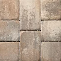Belgard Appian Combo Tile Paver, 30mm, 4" x 8" 6" x 9", Rio