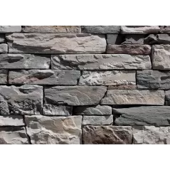 Coronado Dpf Old World Ledge Huron | 01-0452