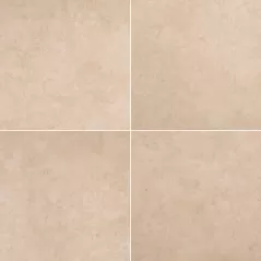 MSI PETRA BEIGE ARTERRA PORCELAIN 24" X 24" X 3/4"