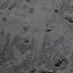Rock Dust - Bulk Stone Dust | ROCKDUST