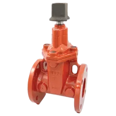 Nibco F-619-RWS-SON Non-Rising Stem Resilient Wedge Gate Valve Ductile Iron 2" Flanged | NSBC07XD
