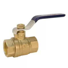 Nibco 2-Piece Ball Valve Brass 3" FNPT | NL998HF