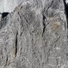 Silver Mist Standup Flagstone 1-1/2" +/- 1-1/2"