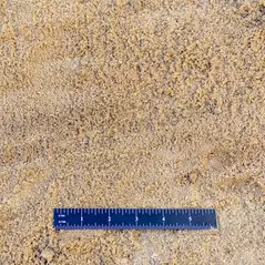 Washed Concrete Sand | CONCRETE SAND2