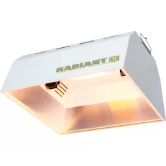 Radiant Double-Ended Reflector