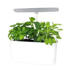 SunBlaster Nano Growlight Garden, w/ LED Grow Light, Timer and Adapter