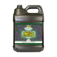 Technaflora Awesome Blossoms, 10 L