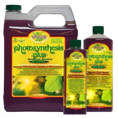 Microbe Life Photosynthesis Plus, 1 gal