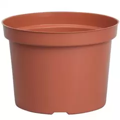 DLN 09.00X06.50 MUMPAN TW TC 54/CS 60CS/PL