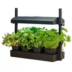 Growlight Garden Micro Black