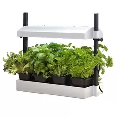Growlight Garden Micro White