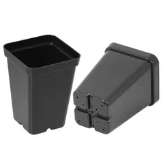 SunPack 2.5" Square Pot, Black