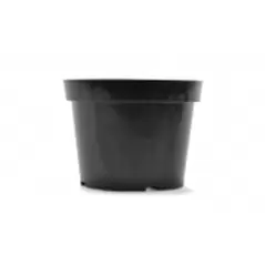 BLD 08.00 AZ TEXTURED BLK 100/CS 36CS/PL 692508